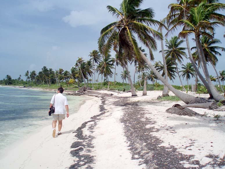 Walking the beach in the Punta Azul area of Ambergris Caye